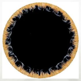 Glore 26 cm Alba Tekli Servis Tabak