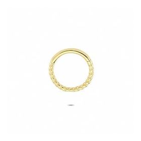 Glorria Gurmet Halka 14 Ayar Altın Piercing