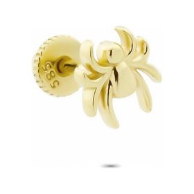 Glorria Örümcek Helix 14 Ayar Altın Piercing