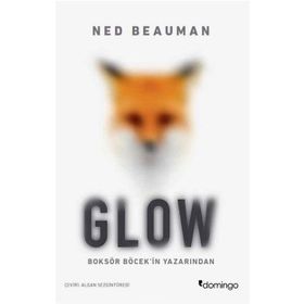 Glow - Ned Beauman