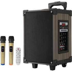 GLR LT-910 Kablosuz 2 Mikrofonlu Kablosuz Hoparlör