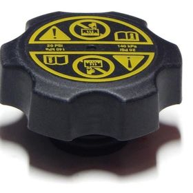 GM Opel İnsignia Yedek Su Depo Kapağı