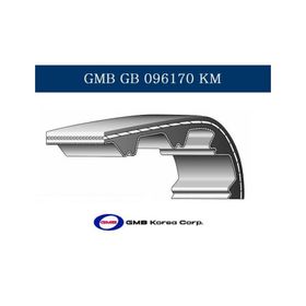 GMB 096SP170H Eksantrik Kayışı
