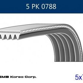 GMB GPK 5PK0788 Kanallı Kayış