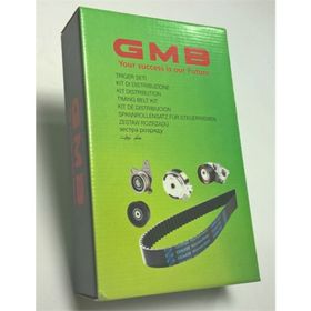 GMB GTK 502203 Eksantrik Rulman Triger Seti
