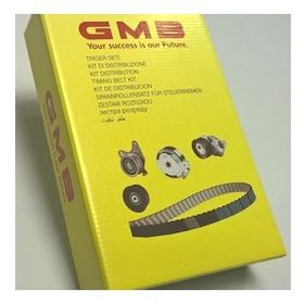 GMB VT102203 Eksantrik Rulman Triger Seti