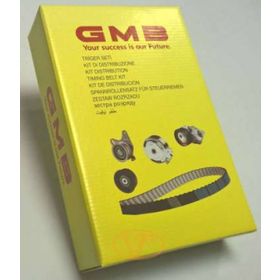 GMB VT103100 Eksantrik Rulman Triger Seti