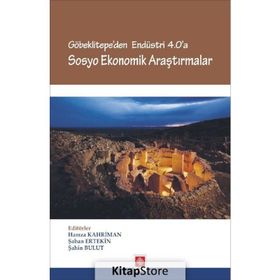 Göbeklitepe'den Endüstri 4.0'a Sosyo Ekonomik Araştırmalar - Hamza Kahriman