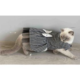 Gobo Beyaz Siyah Kareli Dişi Kedi 3 Medium Köpek Kıyafeti Elbisesi