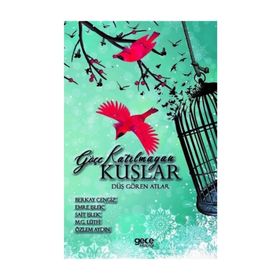 Göçe Katılmayan Kuşlar - Berkay Cengiz Emre