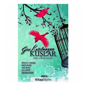 Göçe Katılmayan Kuşlar - Berkay Cengiz Emre