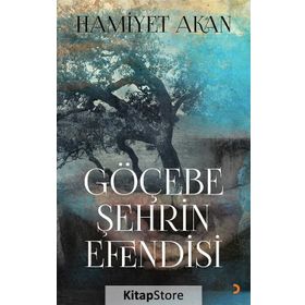 Göçebe Şehrin Efendisi - Hamiyet Akan