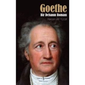 Goethe Bir Dehanın Romanı - Hasan Ali Yücel