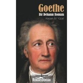 Goethe Bir Dehanın Romanı - Hasan Ali Yücel
