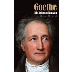 Goethe Bir Dehanın Romanı - Hasan Ali Yücel
