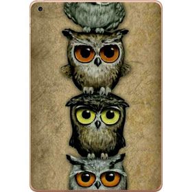 Gogo Accessories Apple iPad Air 2017-2018 A1893 A1954 T015 Küçük Baykuş Baskılı Silikon Kılıf