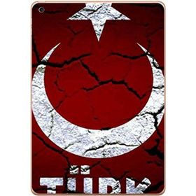 Gogo Accessories Apple iPad New Air2 A1566 A1567 Türk Baskılı Silikon Kılıf
