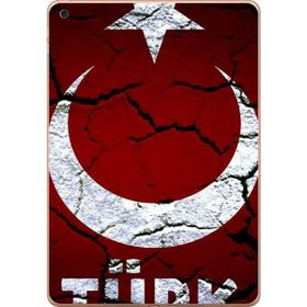 Gogo Accessories Apple iPad New Air2 A1566 A1567 Türk Baskılı Silikon Kılıf