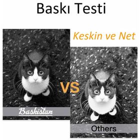 Goink 103 Siyah Epson L3160 Uyumlu 500 ml Mürekkep