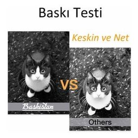 Goink 664 Siyah L210 Uyumlu Muadil Mürekkep