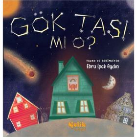 Gök Taşı Mı O - Ebru İpek Aydın