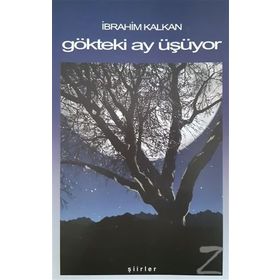 Gökteki Ay Üşüyor - İbrahim Kalkan