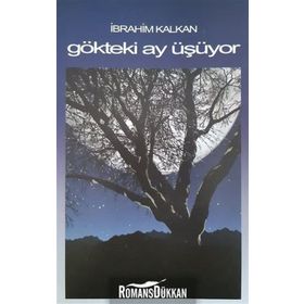 Gökteki Ay Üşüyor - İbrahim Kalkan