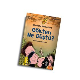 Gökten Ne Düştü? - Mustafa Hakkı Kurt