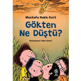 Gökten Ne Düştü? - Mustafa Hakkı Kurt