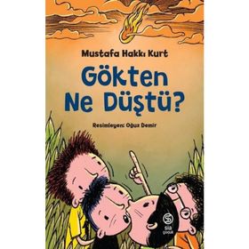 Gökten Ne Düştü? - Mustafa Hakkı Kurt
