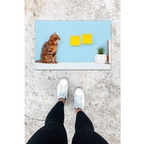 Gökyaprak K-1029 Dijital Baskı Mavi Sarman Kedi Desen Kapı Önü Paspası