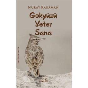 Gökyüzü Yeter Sana Kuytu Yayınları