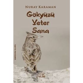 Gökyüzü Yeter Sana Kuytu Yayınları