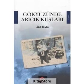Gökyüzünde Arıcık Kuşları - Atıf Bedir