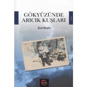 Gökyüzünde Arıcık Kuşları - Atıf Bedir