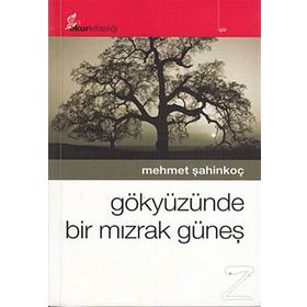 GÖKYÜZÜNDE BIR MIZRAK GÜNEŞ - MEHMET ŞAHİNKOÇ