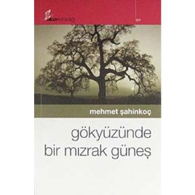 GÖKYÜZÜNDE BIR MIZRAK GÜNEŞ - MEHMET ŞAHİNKOÇ