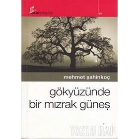 GÖKYÜZÜNDE BIR MIZRAK GÜNEŞ - MEHMET ŞAHİNKOÇ