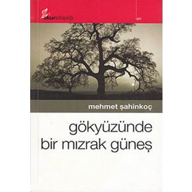 GÖKYÜZÜNDE BIR MIZRAK GÜNEŞ - MEHMET ŞAHİNKOÇ