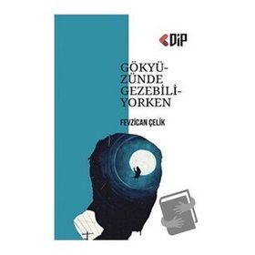 Gökyüzünde Gezebiliyorken- Fevzican Çelik