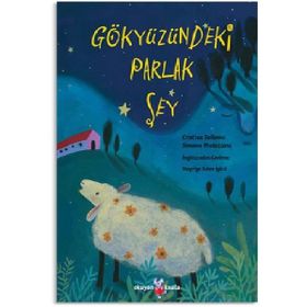 Gökyüzündeki Parlak Şey - Cristina Bellemo