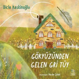 Gökyüzünden Gelen Gri Tüy - Dicle Keskinoğlu