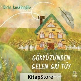 Gökyüzünden Gelen Gri Tüy - Dicle Keskinoğlu
