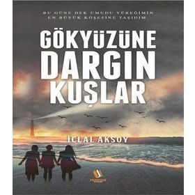 Gökyüzüne Dargın Kuşlar - İclal Aksoy