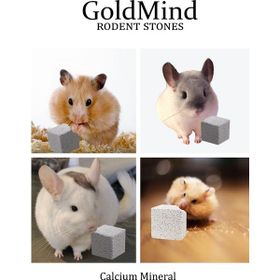 Gold Mind 3 Adet Kalsiyum Mineralli Kemirgen Yalama Taşı