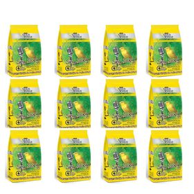 Gold Wings Premium Kanarya Kondisyon Öttürücü 12x150 gr Kuş Yemi