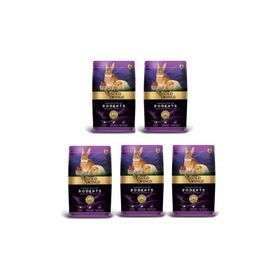 Gold Wings Premium Meyveli Kemirgen 1 kg 5'li Kuş Yemi