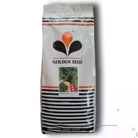 Golden 1 kg Seed Maydanoz Tohumu