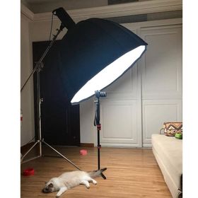Golden Eagle LED-3000 Sürekli Işık