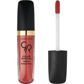 Golden Rose Color Sensation 113 Lipgloss